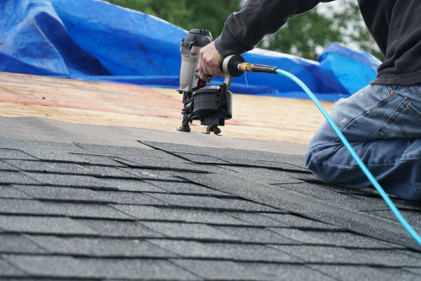 Best Commercial Roofing Services  in Holly Springs, MS