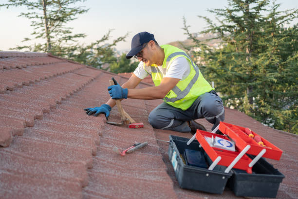Best Roof Leak Repair  in Holly Springs, MS