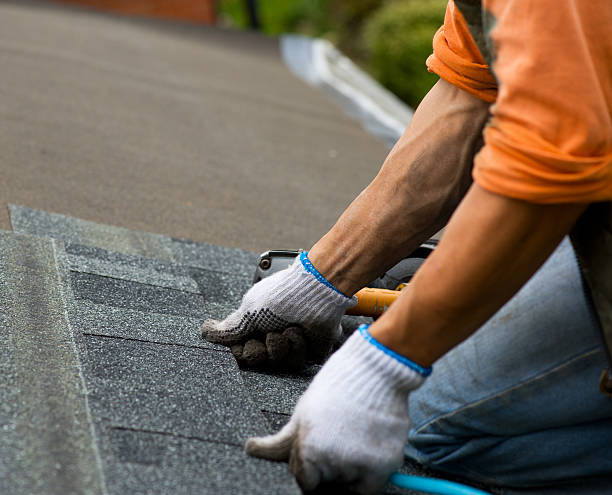 Best Storm Damage Roof Repair  in Holly Springs, MS