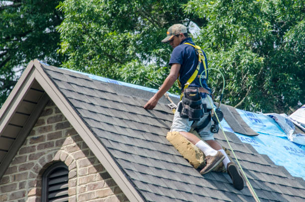 Best Residential Roofing Contractor  in Holly Springs, MS